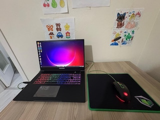 Sahibinden Temiz Monster Tulpar T7 V21.8 - 17.3" 2K 165Hz - i7 11800H - 6