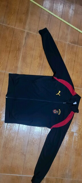 Puma Galatasaray likralı sweat mont..