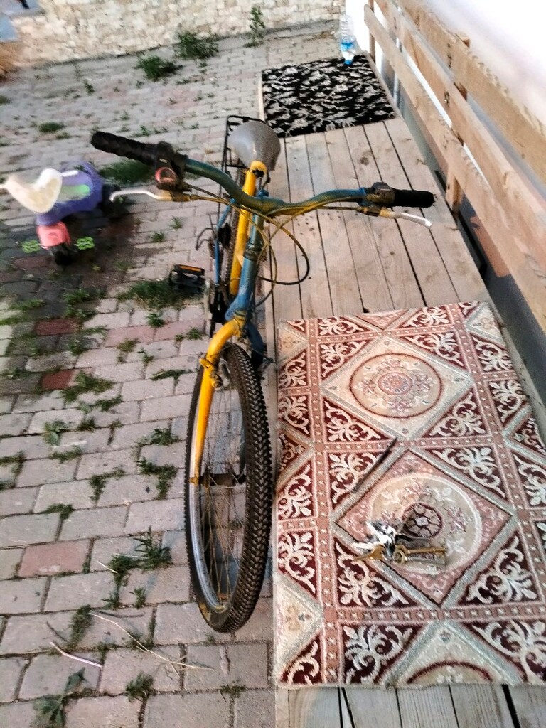 bianchii bisiklet - 4