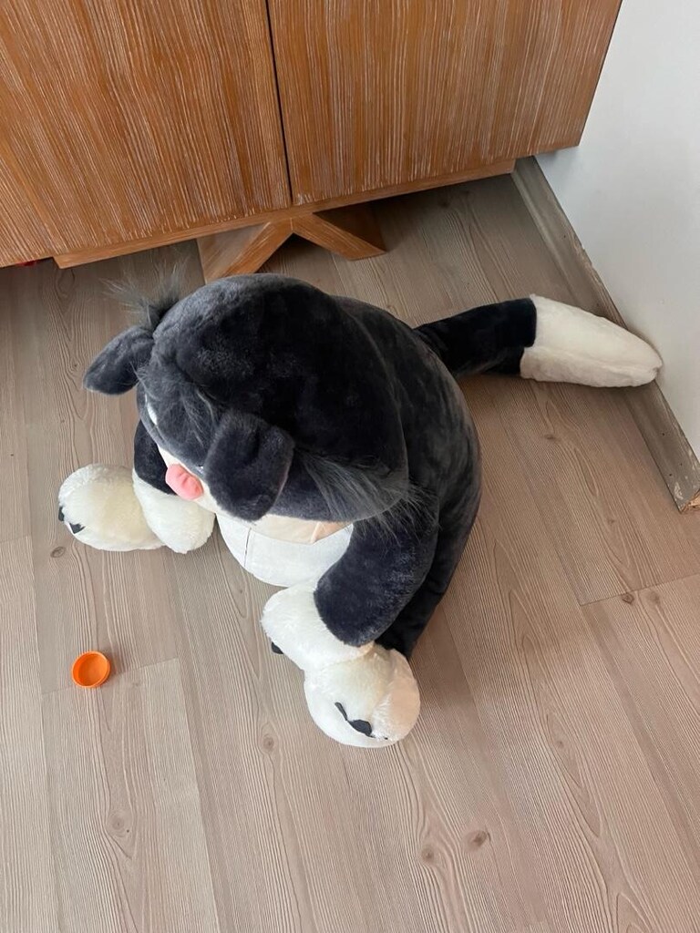 Dev Kızgın Kedi 60cm boy - 2
