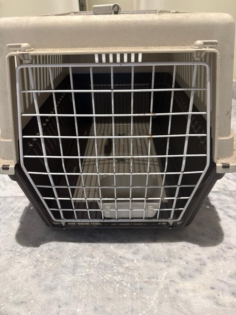KEDİ KAFESİ - 2