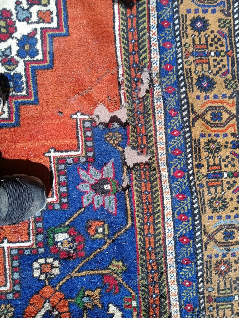kök boyası - 4
