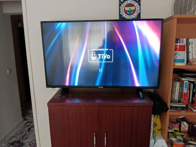 Televizyon