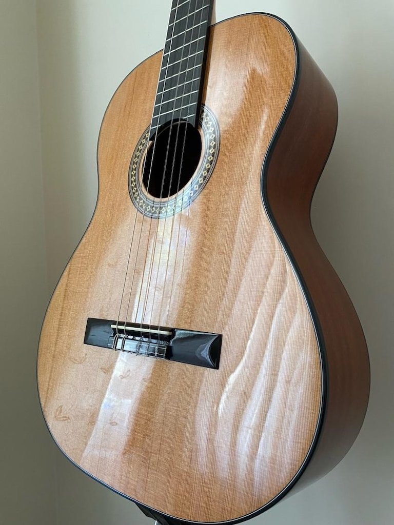 Martinez Gitar+Kılıf - 2