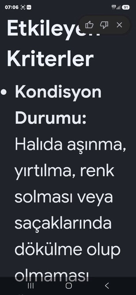 el dokuma yün halı - 5