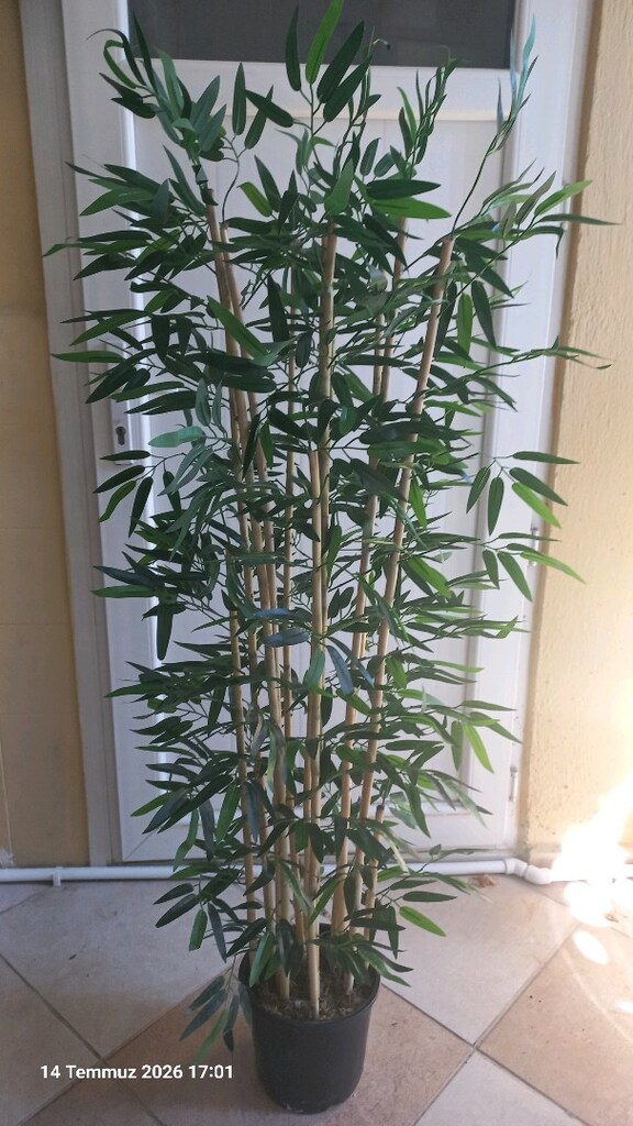 Yapay bambu ağaç 150 cm boyunda
