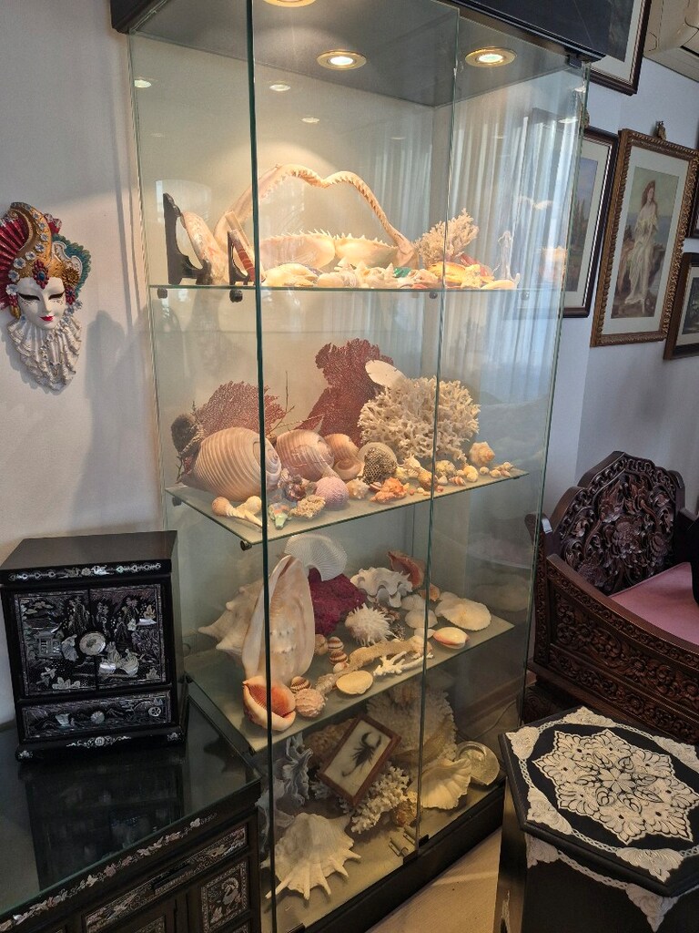 Koleksiyon deniz ürünleri vitrini - 3