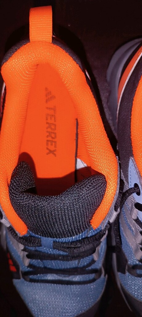 Orijinal Adidas terrex Gore - 8