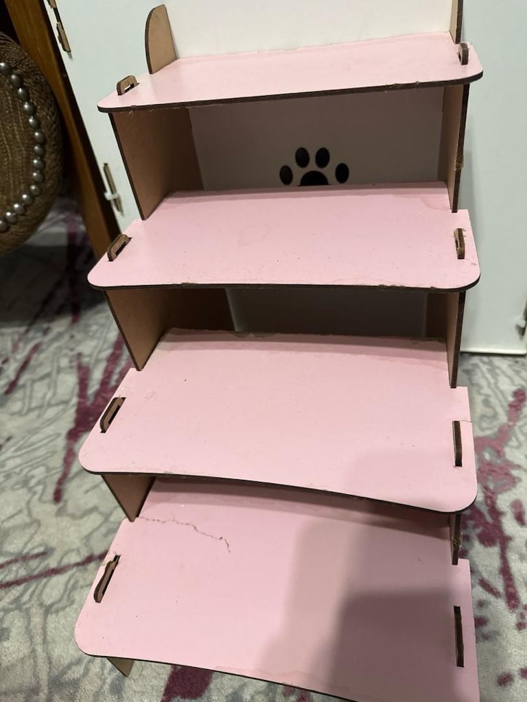 kedi evi - 3