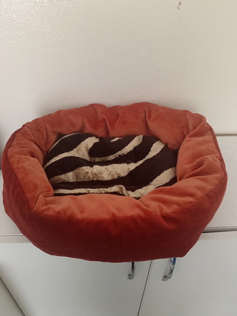 kedi köpek yatağı ve çantası - 2