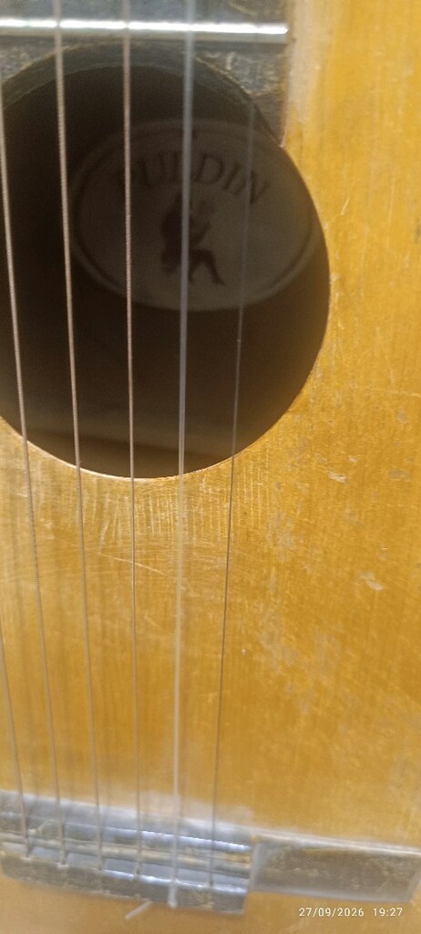puldin gitar - 3