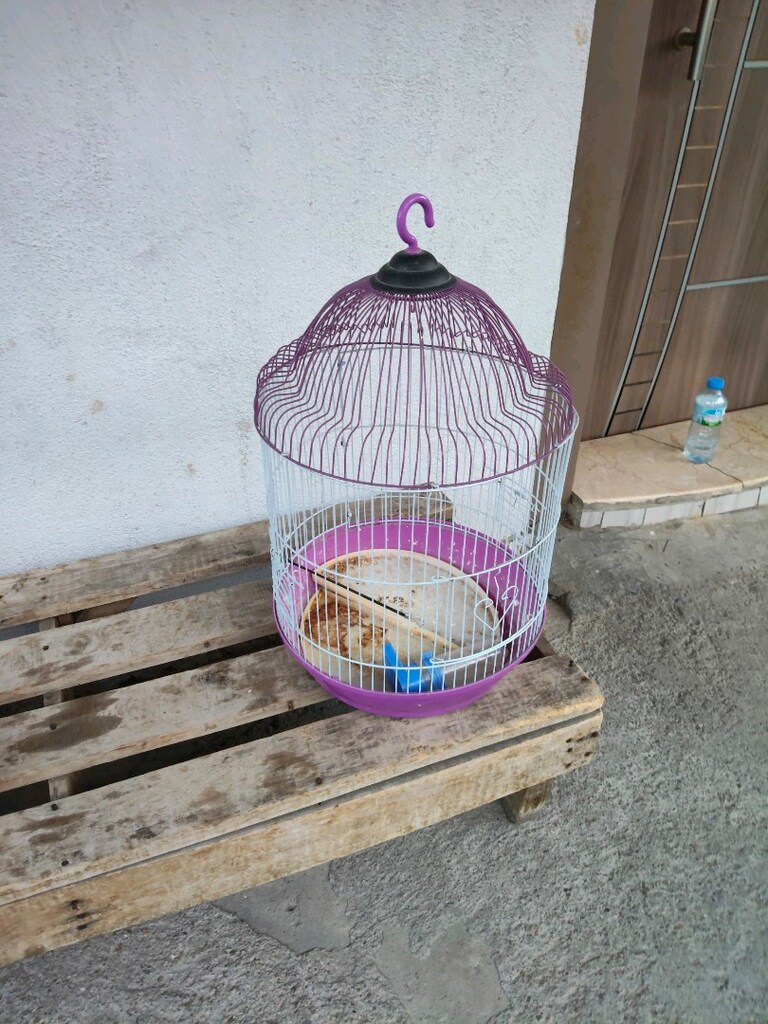yüksekliği 45 cm genişliği 35 cm kuş kafesi - 6
