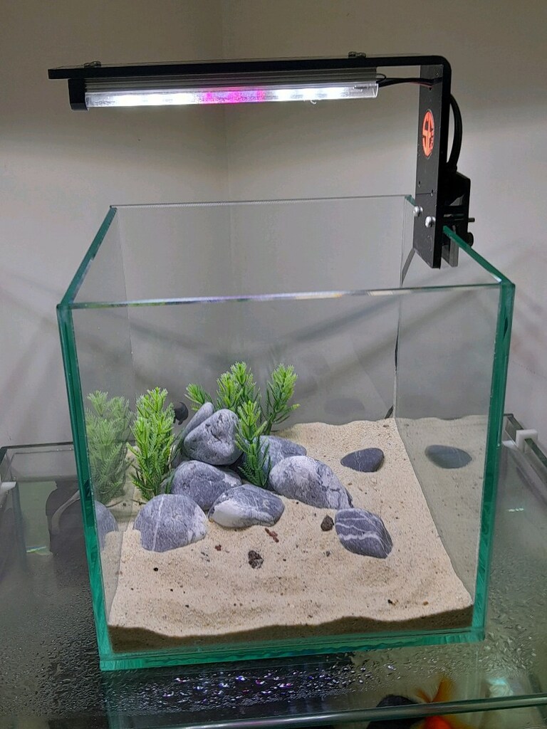 nano akvaryum mini 20x20x20 clear - 11