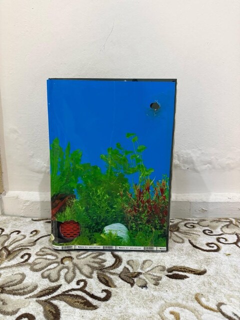 SUMP FİTRE