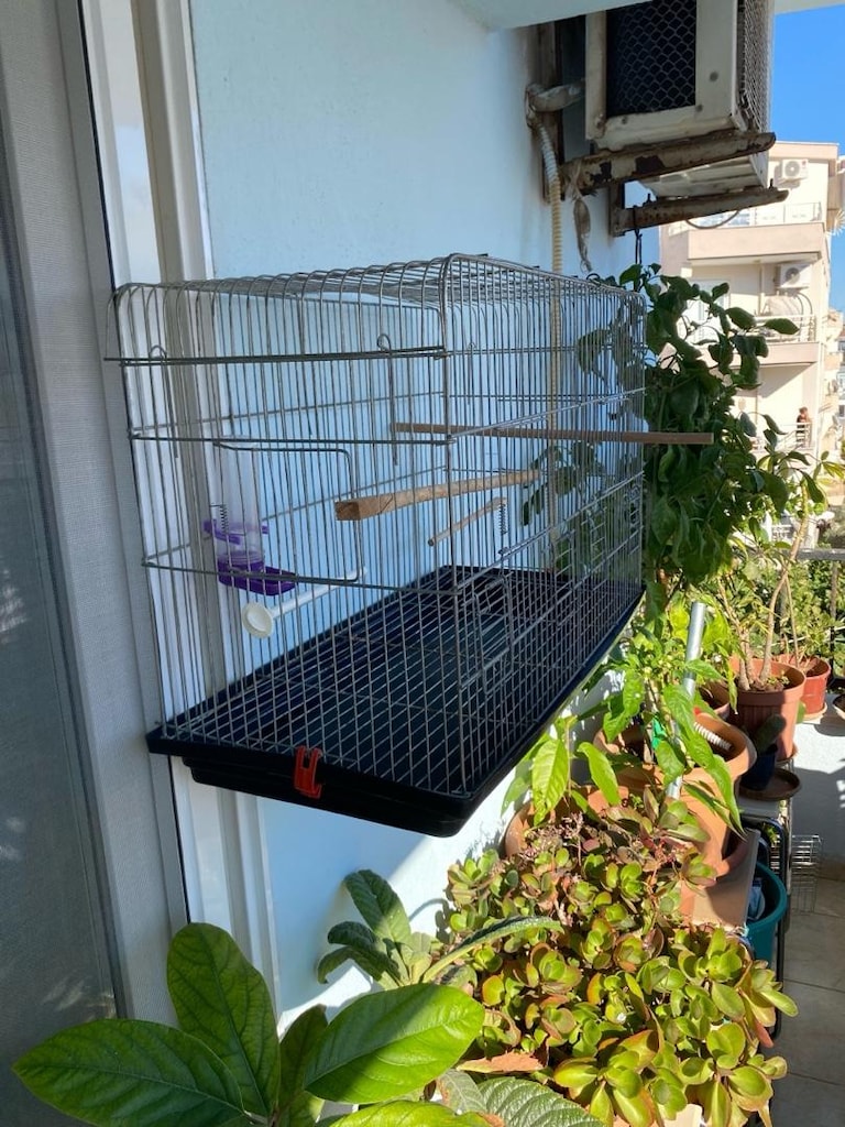 çifthane kaf*s - 2