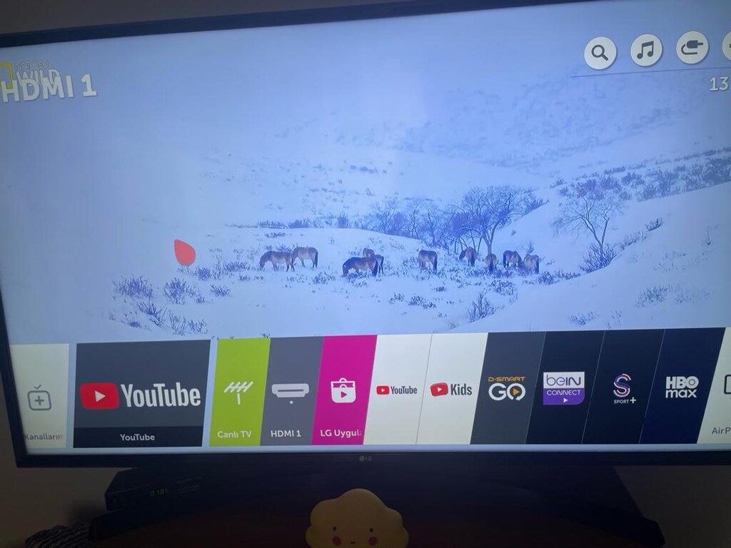 Lg 50 inç smart tv - 4