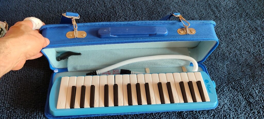 melodika ve flüt - 6