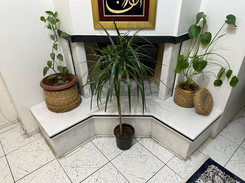 Çiçekler - 2