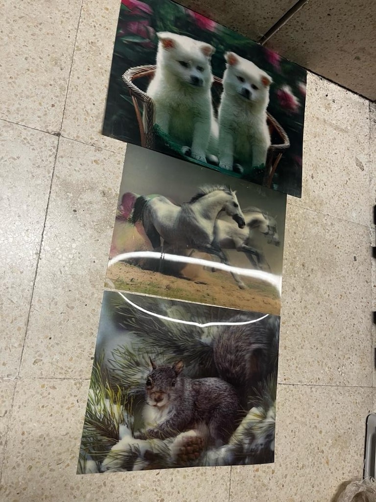 3 Boyutlu Resim - 2