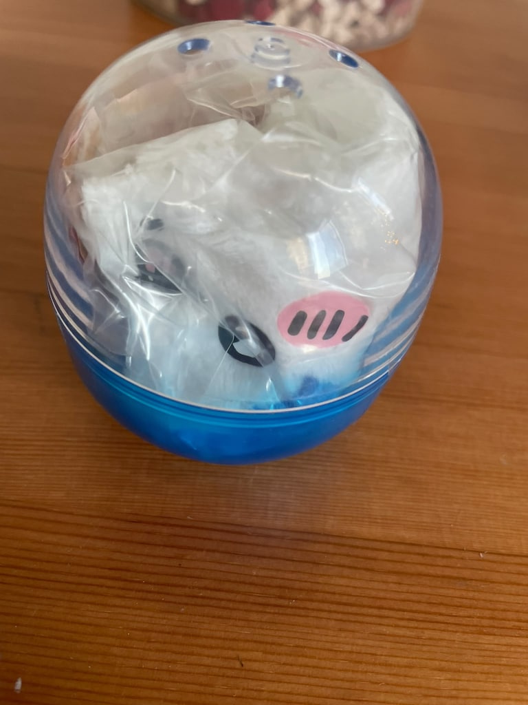 Japonya Gashapon Orijinal Chiikawa Kedi & Pelüş Şapkası - 2