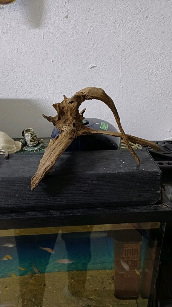mangrow koku - 4