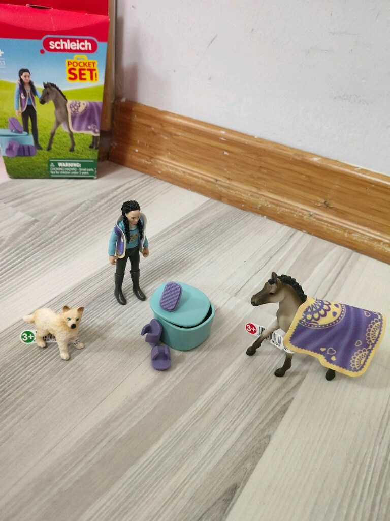 Schleich tay Kim ile Bakım seti - 2