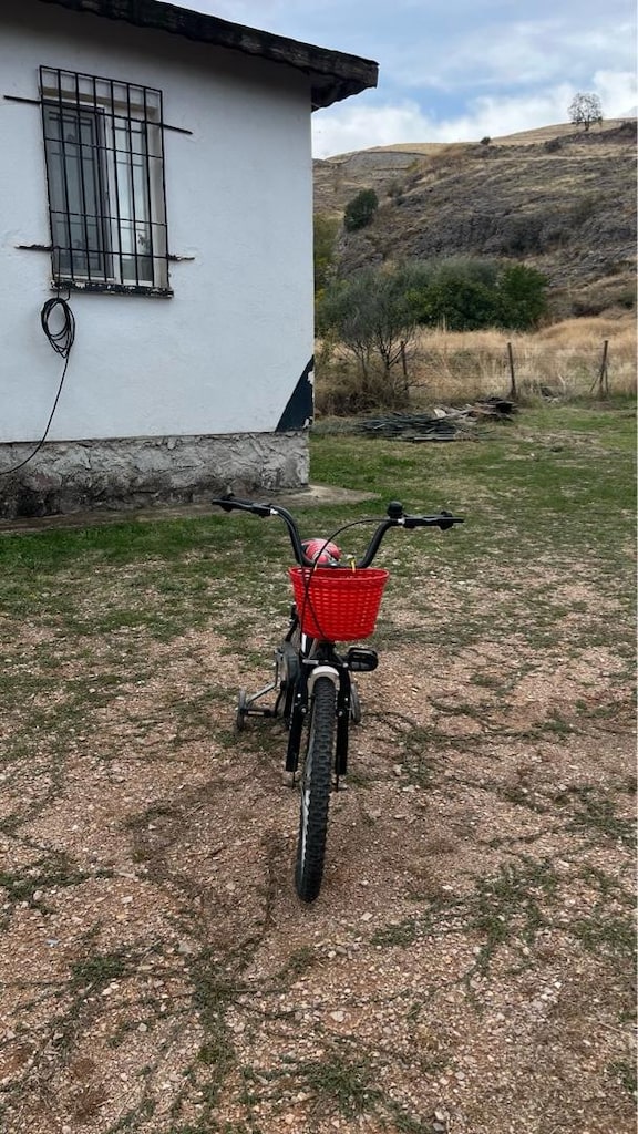 Temiz Ümit Alpina Çocuk Bisikleti (Yan Tekerlekli ve Sepetli) - 2