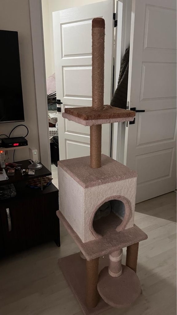 Kedi Evi - 4