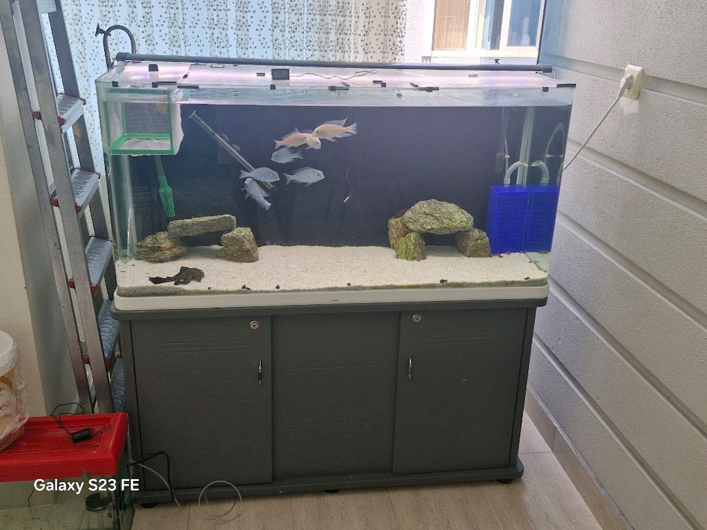 KURULU SİSTEM 6 AYLIK 120 CM MOBİLYALI YURTDIŞI YUNUS KOLONİ AKVARYUMU