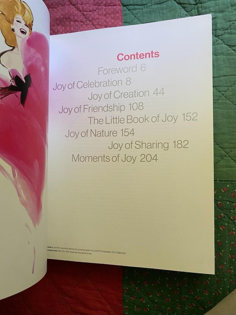 Dior: Moments of Joy / Muriel Teodori - 3