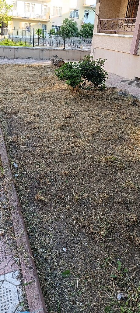 bahçe biçimi yapılır - 5