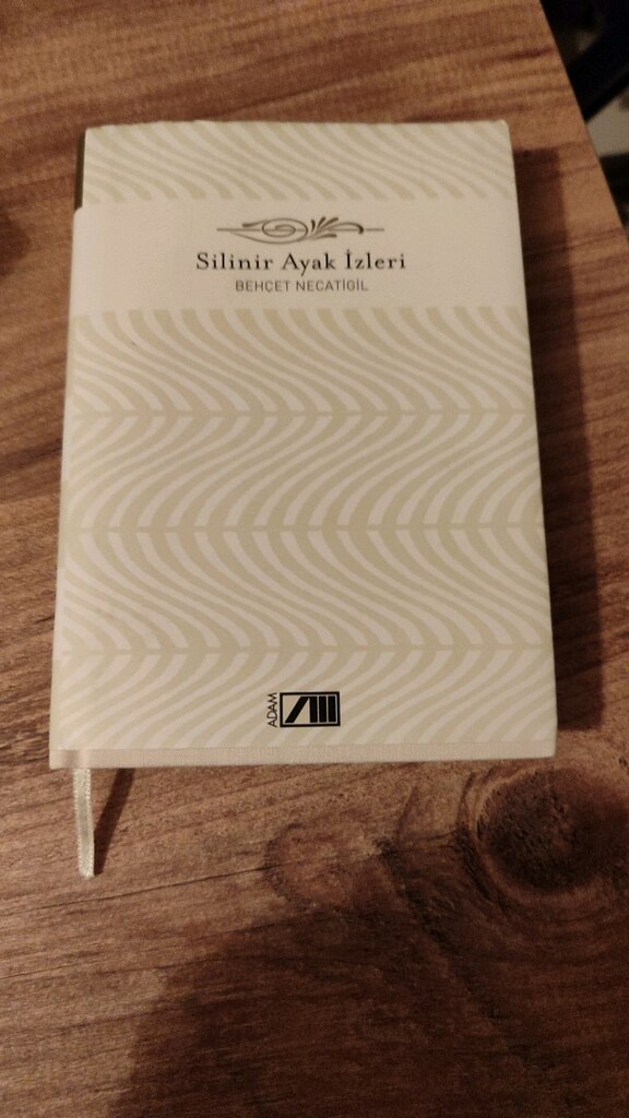 İlk basım antika kitaplar şiir - 4