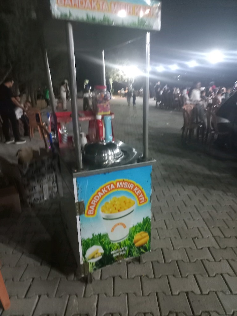 SÜT MISIR'DAKİ ARABASI - 3