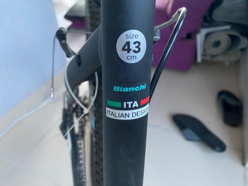 Az kullanılmış BIANCHI aspid 26 - 5