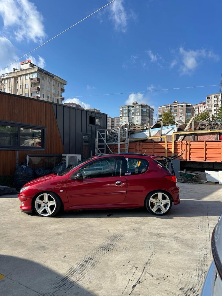 Tertemiz peugeot 206 - 3