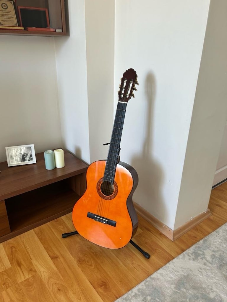 temiz klasik gitar - 2