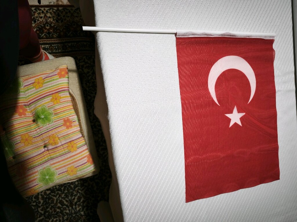 Kağıt Türk Bayrağı saplı 30,5*20,5 cm. - 6