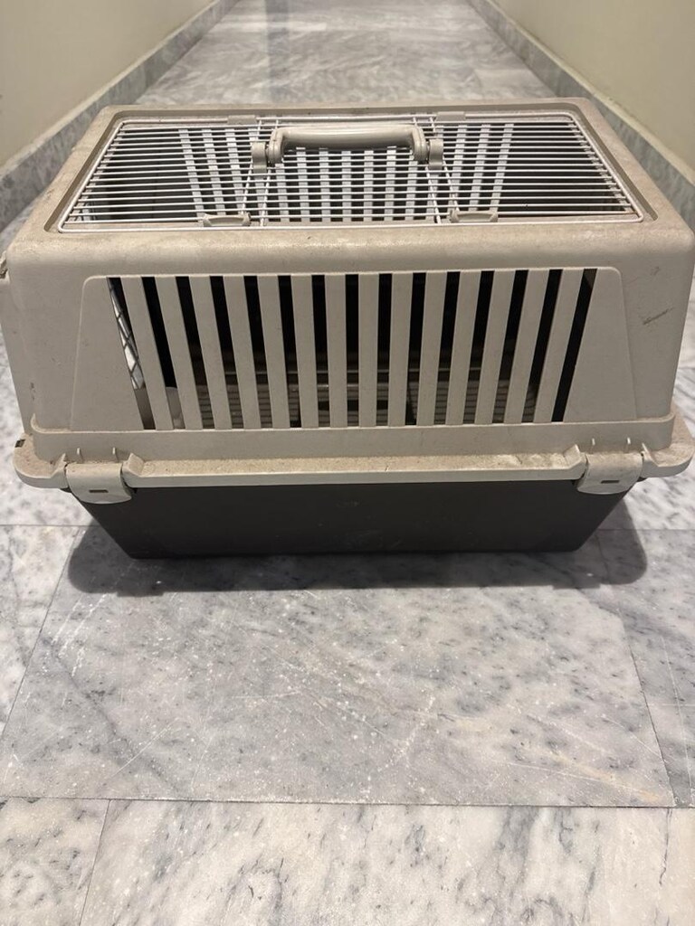 KEDİ KAFESİ - 4