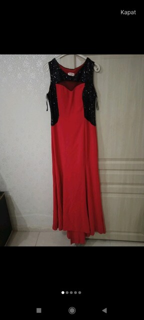 balık modeli