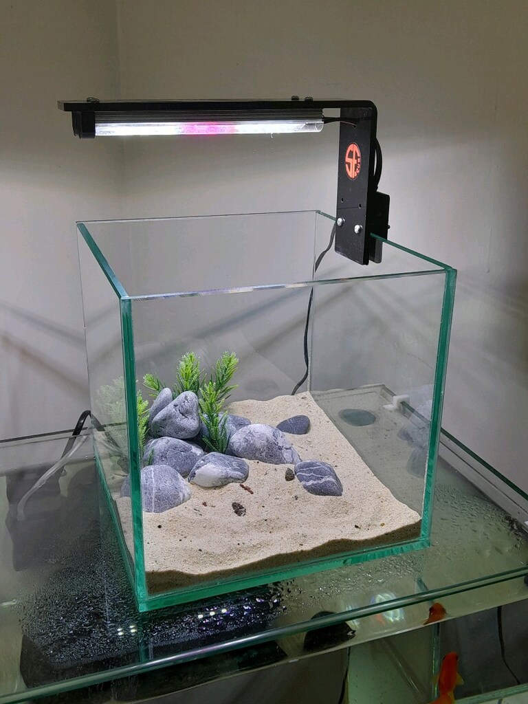 nano akvaryum mini 20x20x20 clear - 6