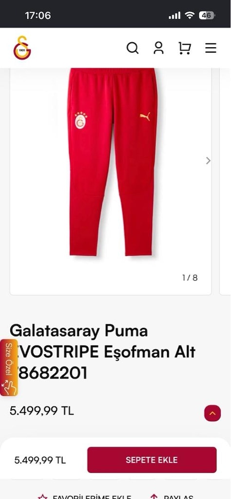 galatasaray puma eşofman altı