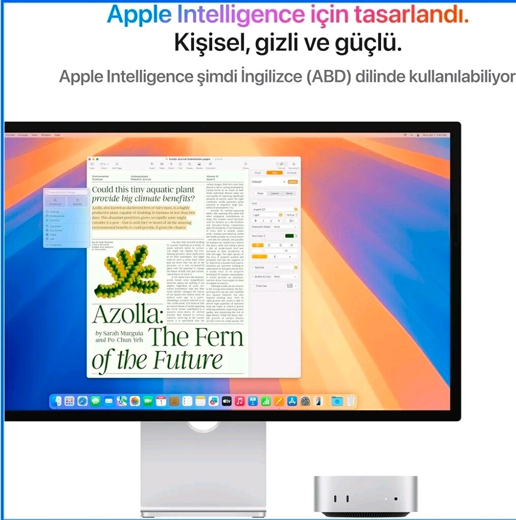 Apple Mac mini Masaüstü Bilgisayar M4 çip, 10 çekirdekli CPU - 3
