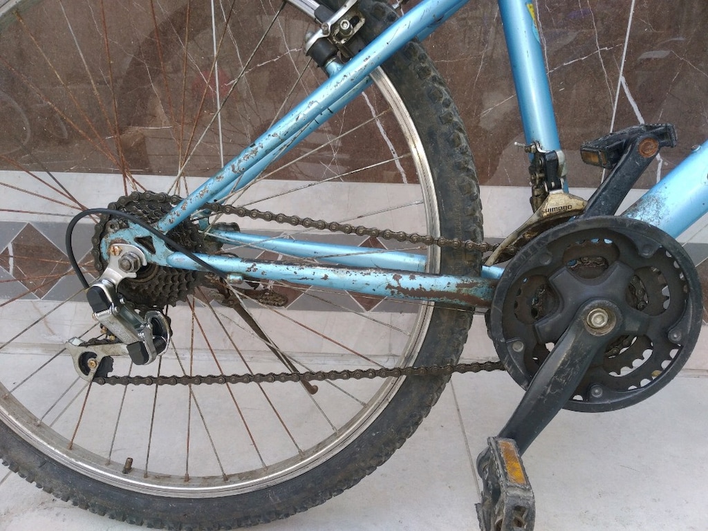 Bianchi 26 jant 21 vitesli - 10