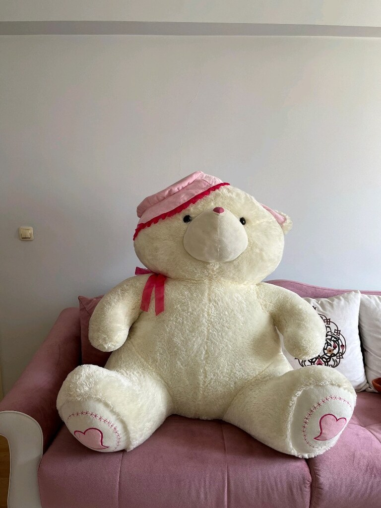 Malatya'nın en büyük ayısı peluş ayı - 2