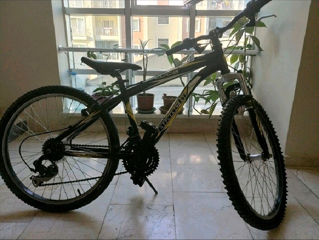 Salcano Ng750/Bianchi Luca24/20 Jant İthal Bisiklet - 4