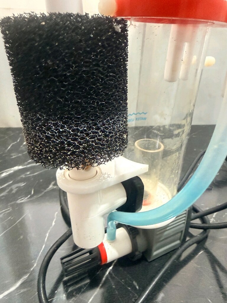 BUGÜNE Bubble Magus QQ1 Nano Protein Skimmer - Kutulu Tuzlu Su - 5
