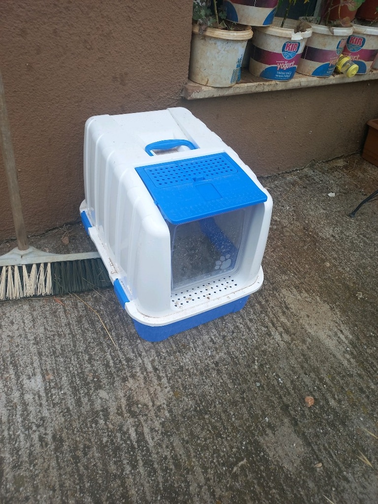 Kedi evi - 3