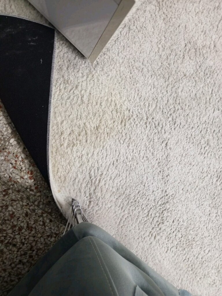 salon halısı 6 metre - 2