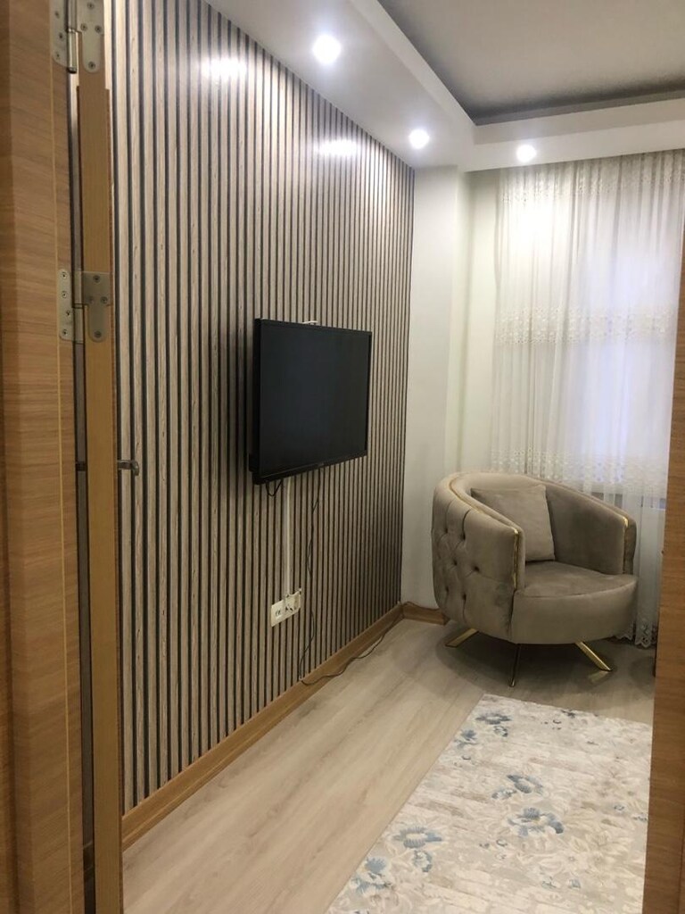 2 adet tekli 1 adet üçlü koltuk takımı - 2