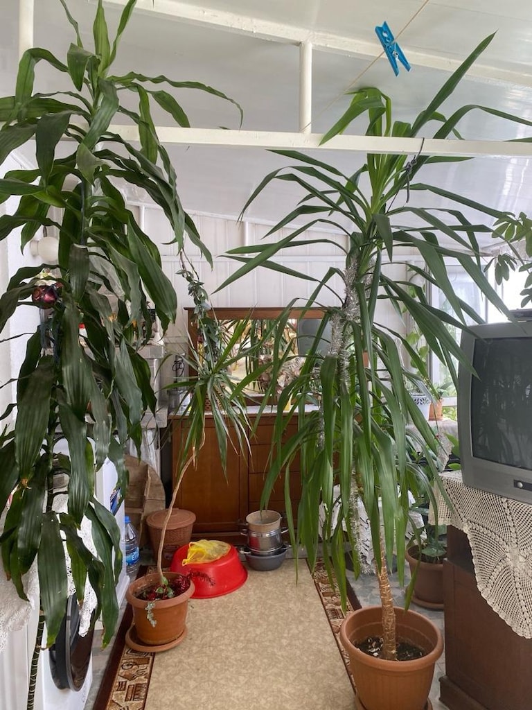 çiçeklerim satılık - 3
